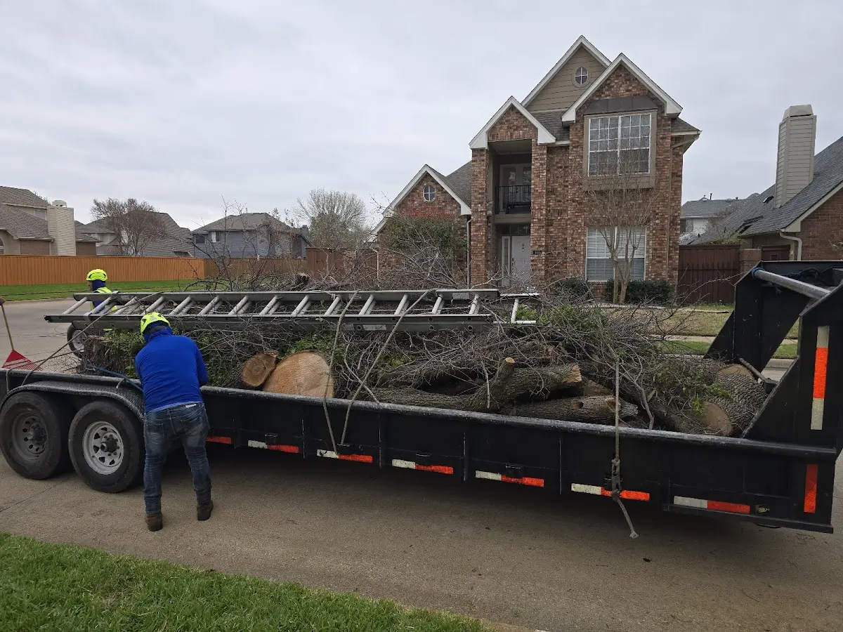 Expert Tree Fertilization with proper safety equipment in Rexford